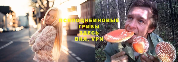 apvp Архангельск