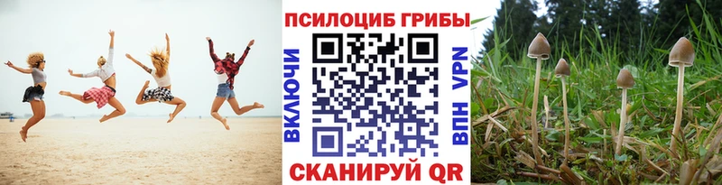 Псилоцибиновые грибы GOLDEN TEACHER  Янаул 
