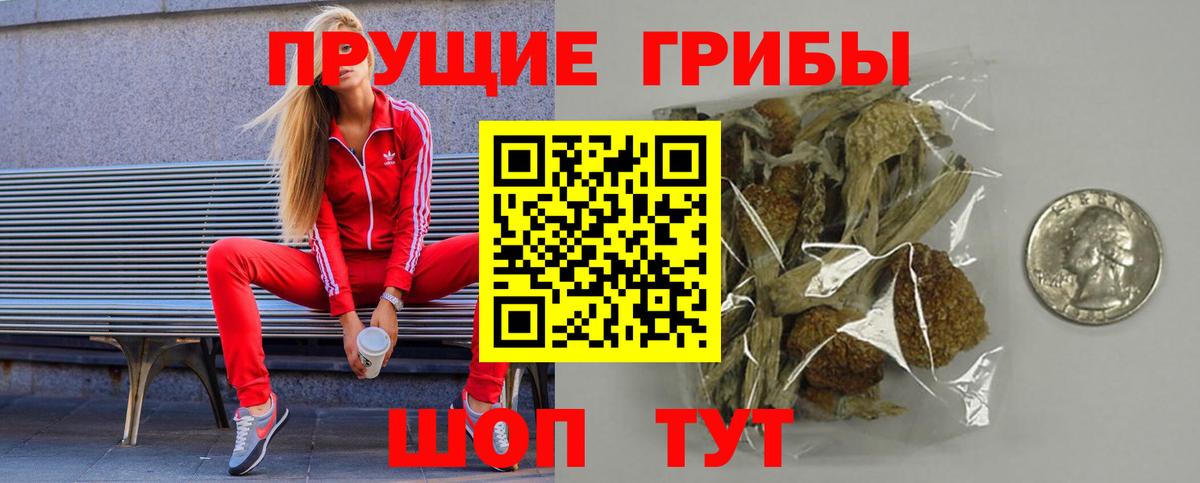 Псилоцибиновые грибы Psilocybe Янаул